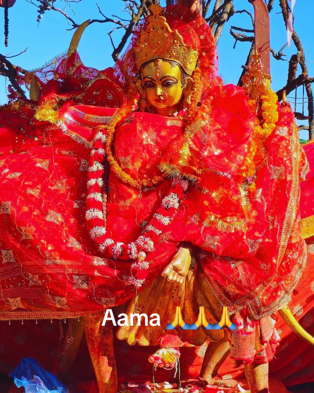 @nirmalabaral680