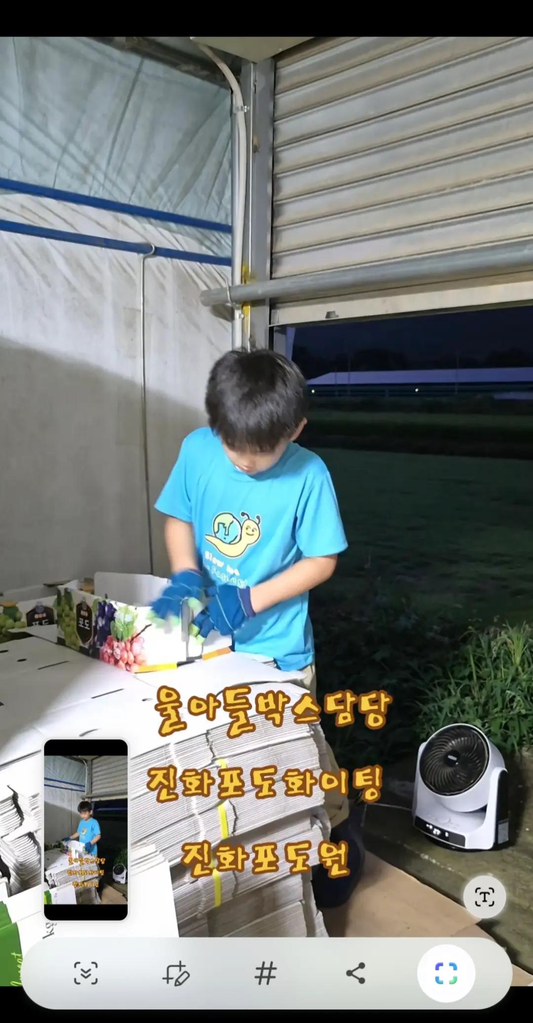 @진화포도원