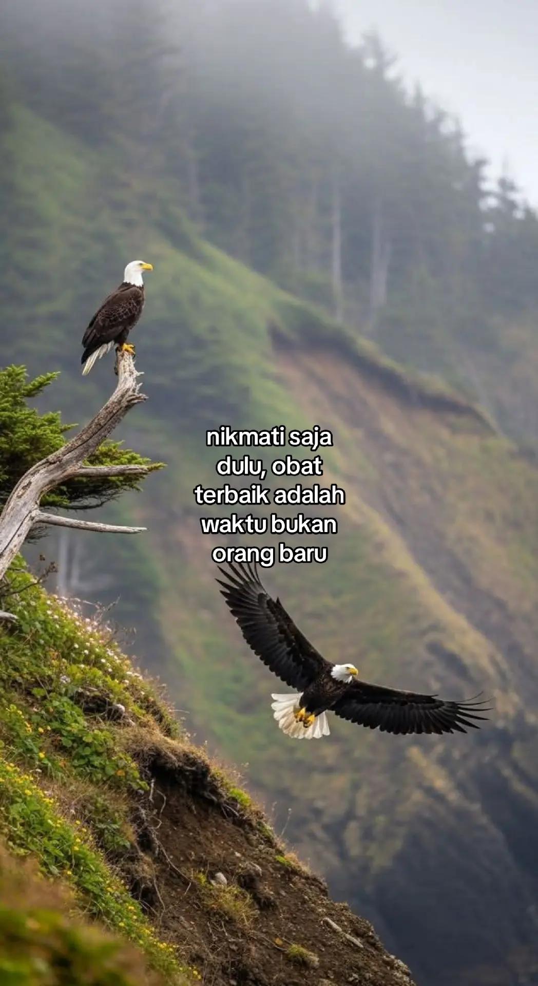 @wisnu23