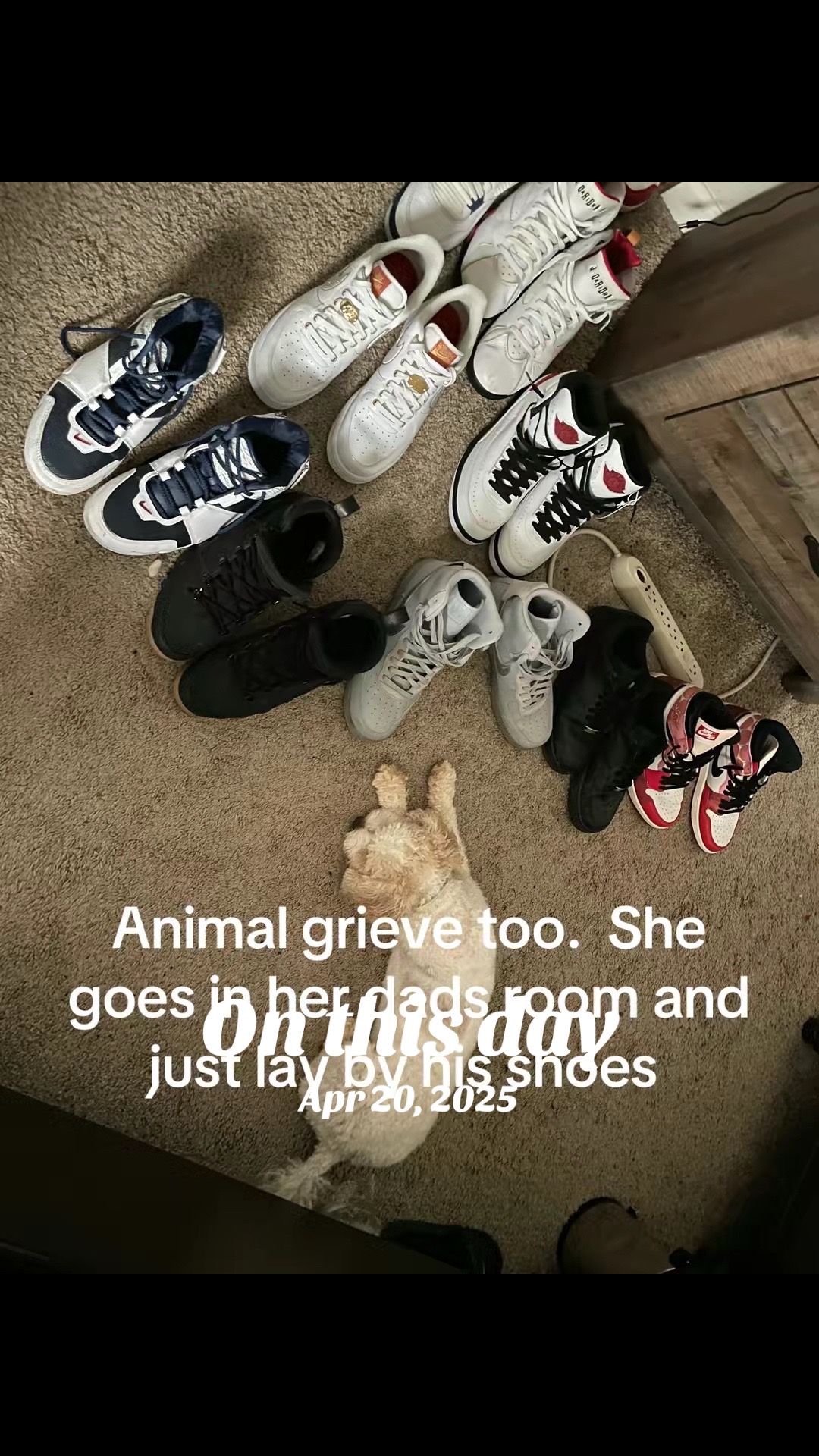 @JeanieGirl666