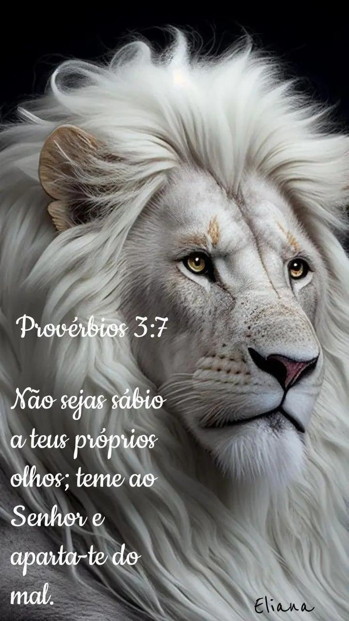 @William Rodrigues 🌹💞