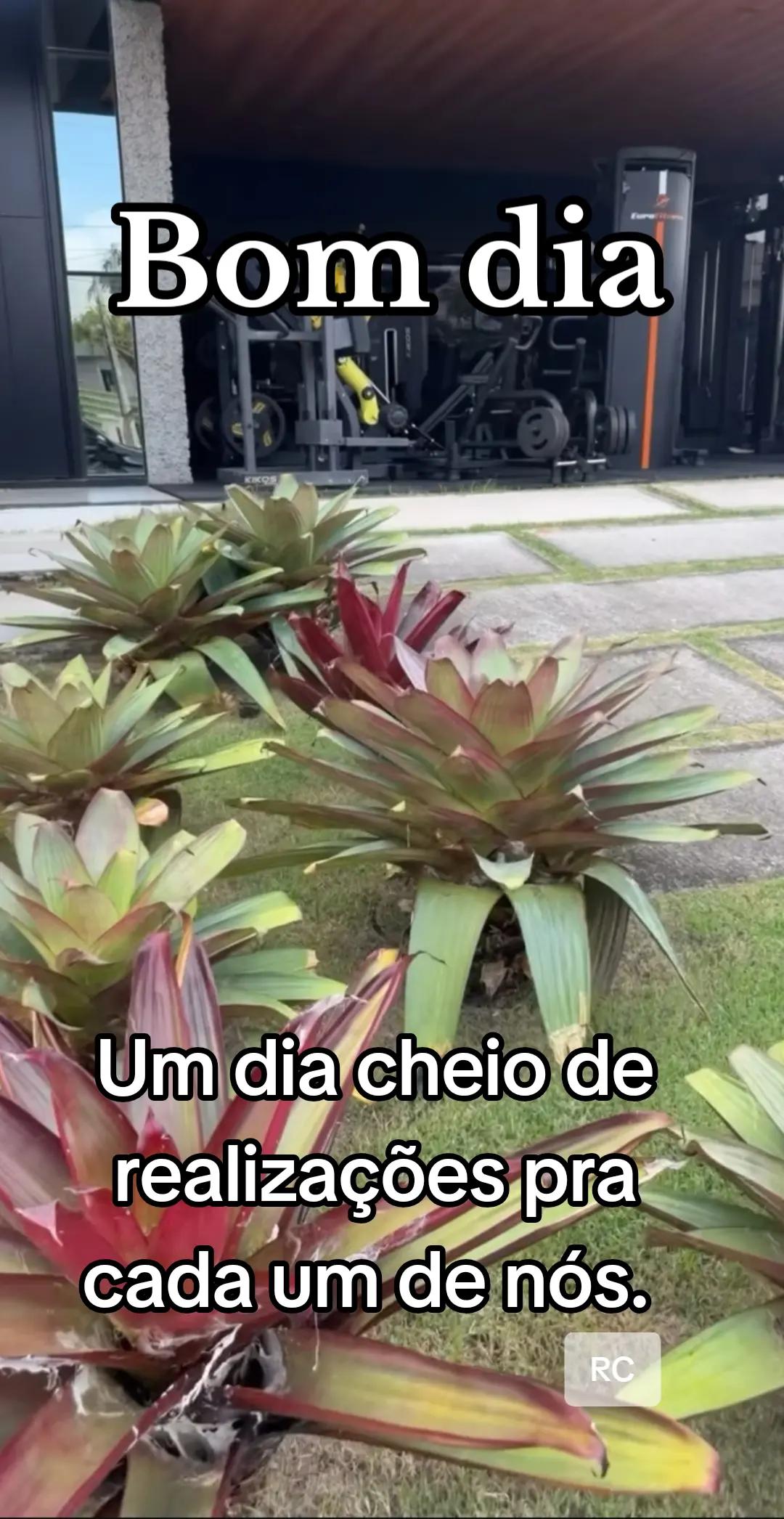 @RoberttoCarllos12