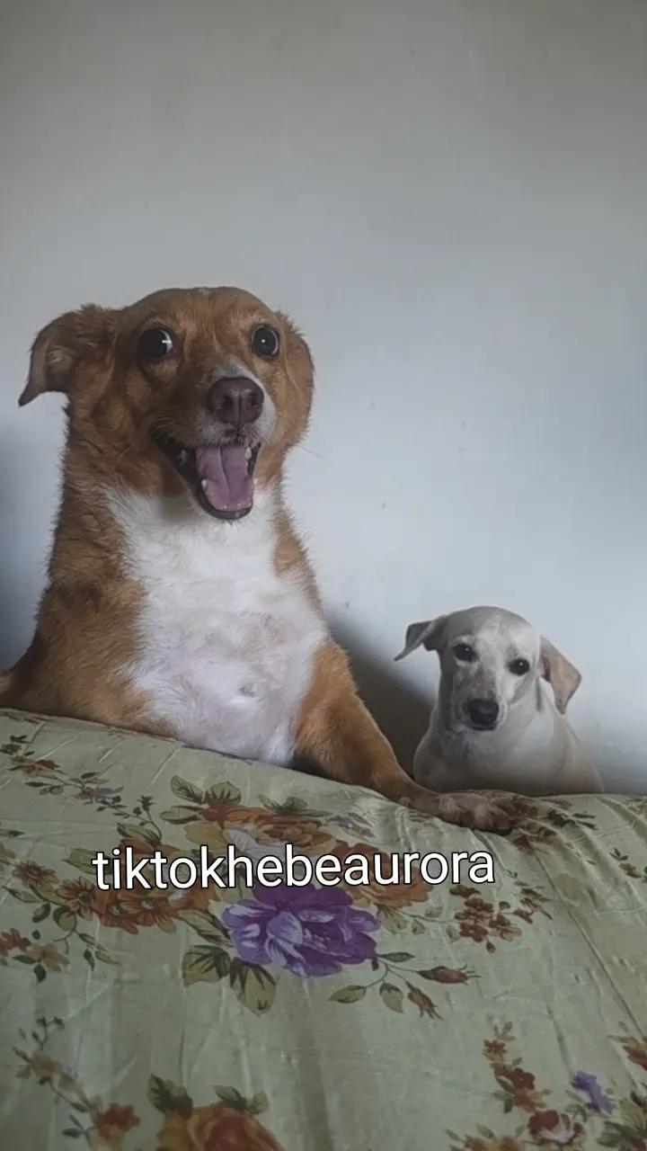@hebe aurora