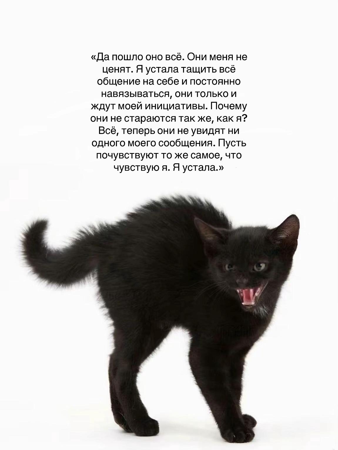 @𝒦𝒾𝓇𝒶