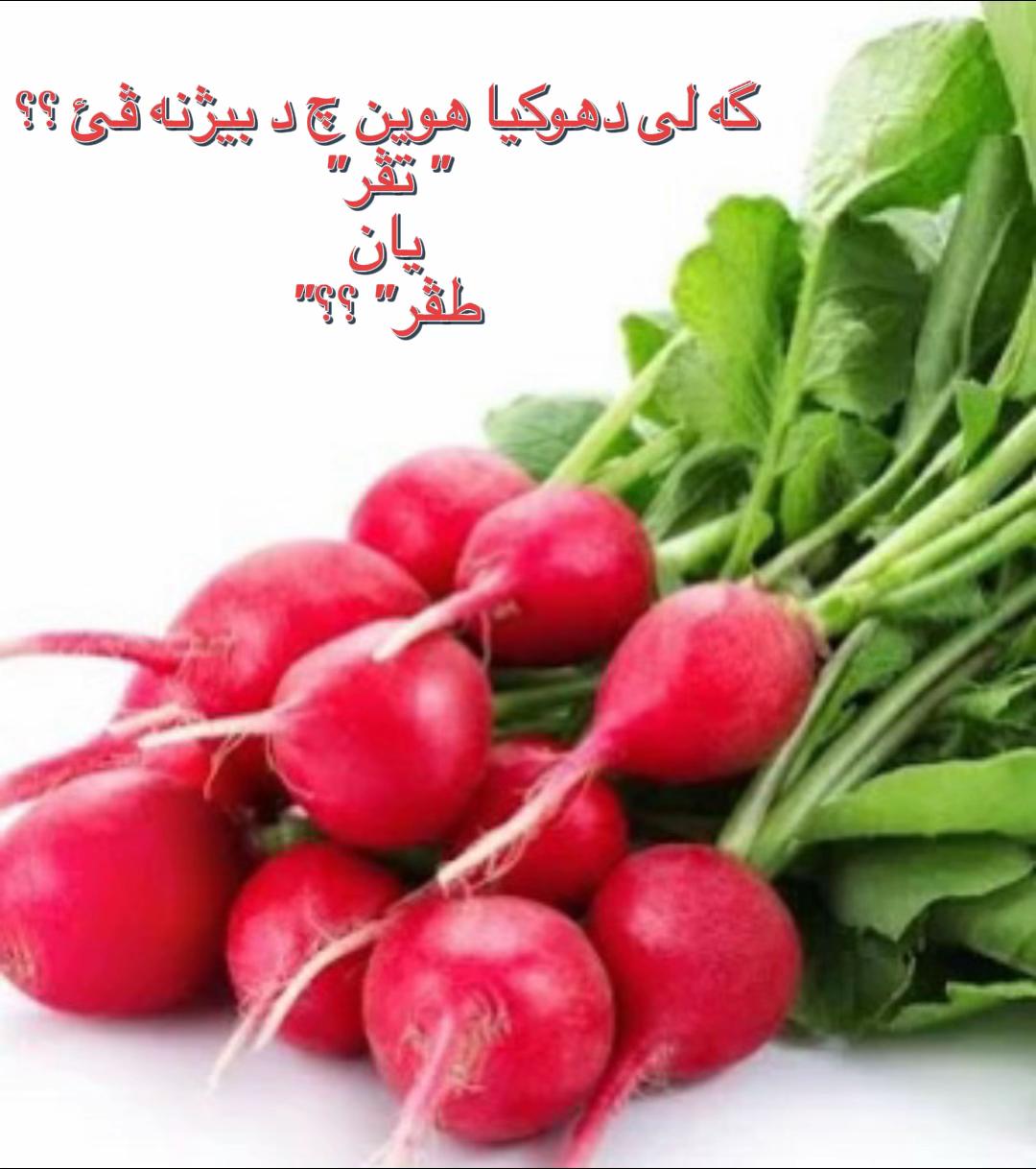 @Chef_duhoki