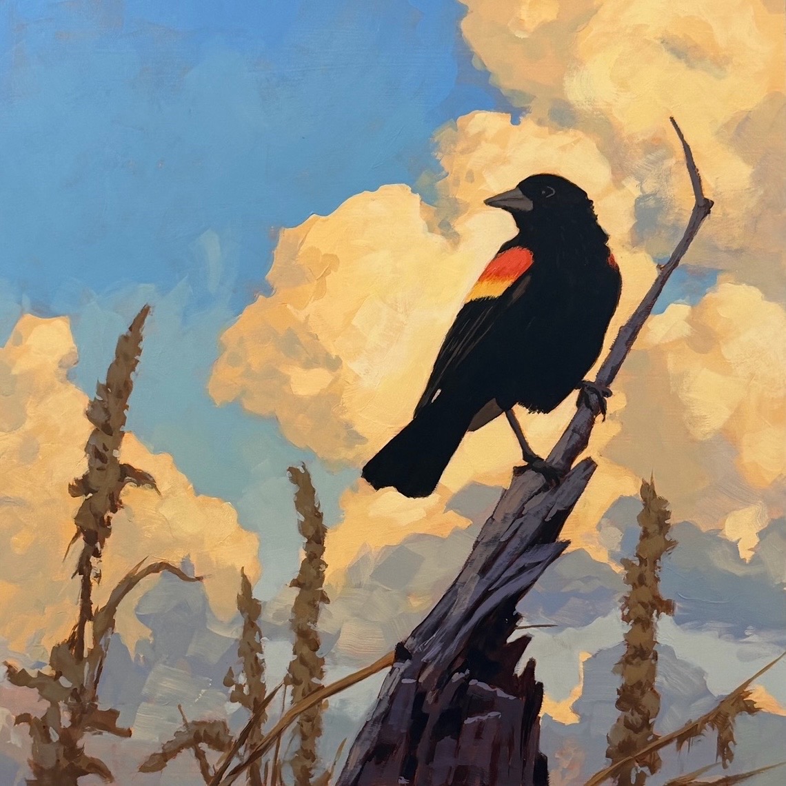 @Jim Musil Painter