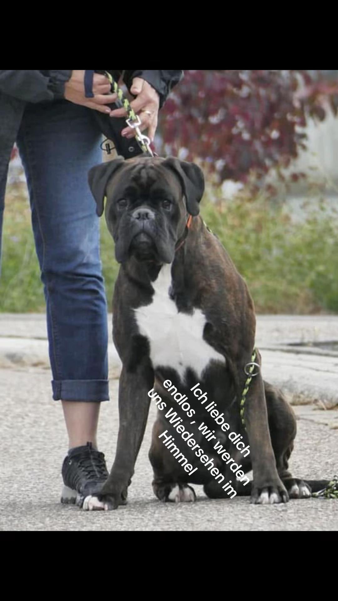 @ostfriesenfrau