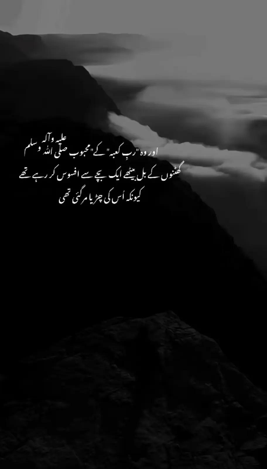 @𝒜𝓃𝑜𝑜.𝓍𝒾𝓉𝓏🥀