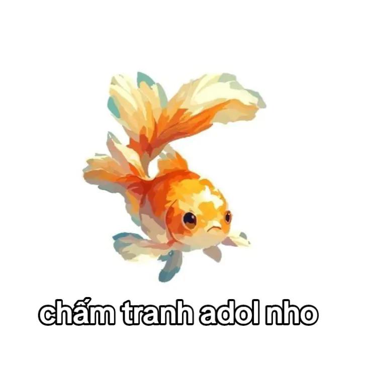 @con cá biết bay🐟