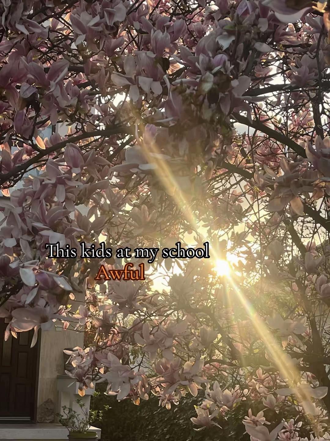@visual.idol