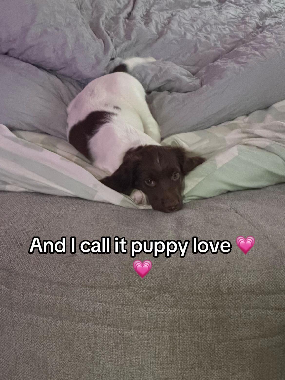 @Poppy ๐๐บ