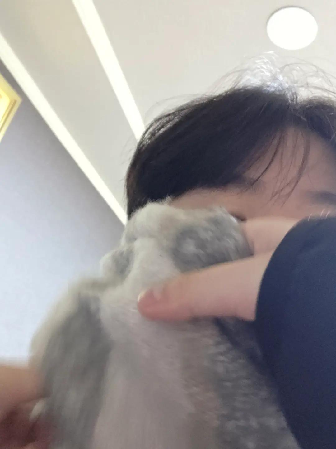 @채율