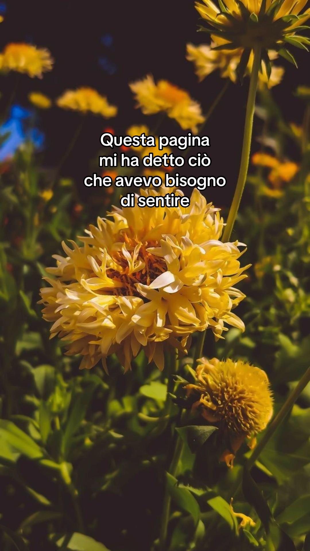 @Ricordati di amarti 🩷