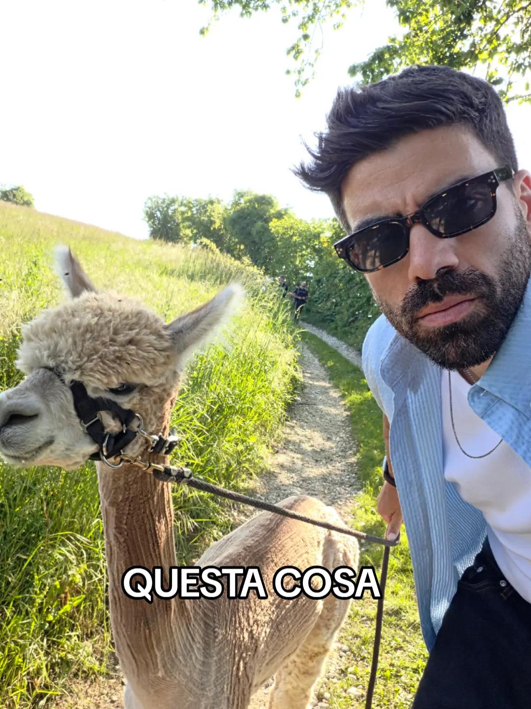 @Gianluca Gazzoli