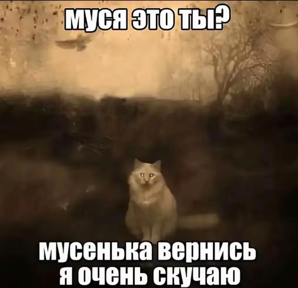@sp1rt