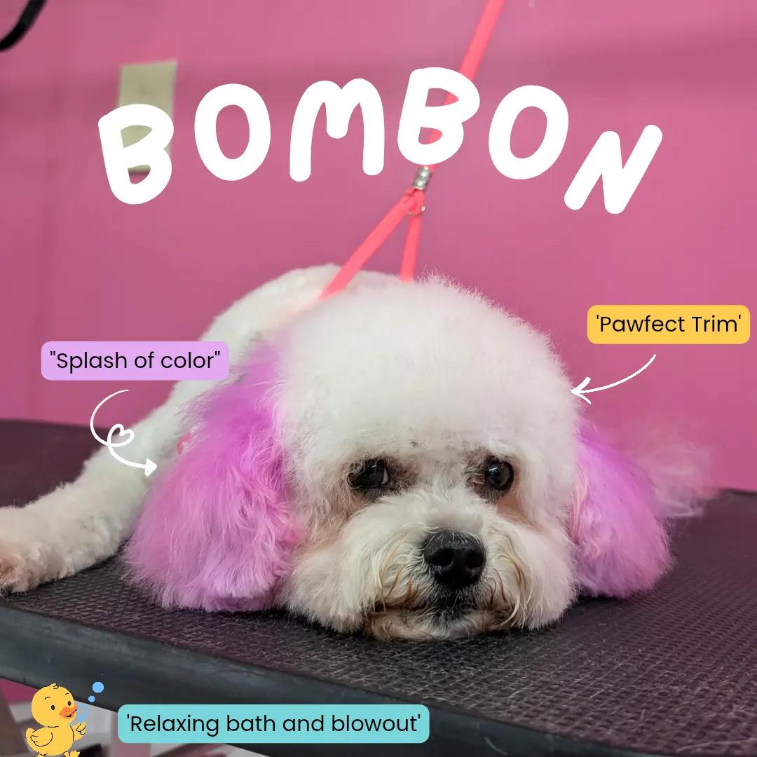 @bubulabapetgrooming