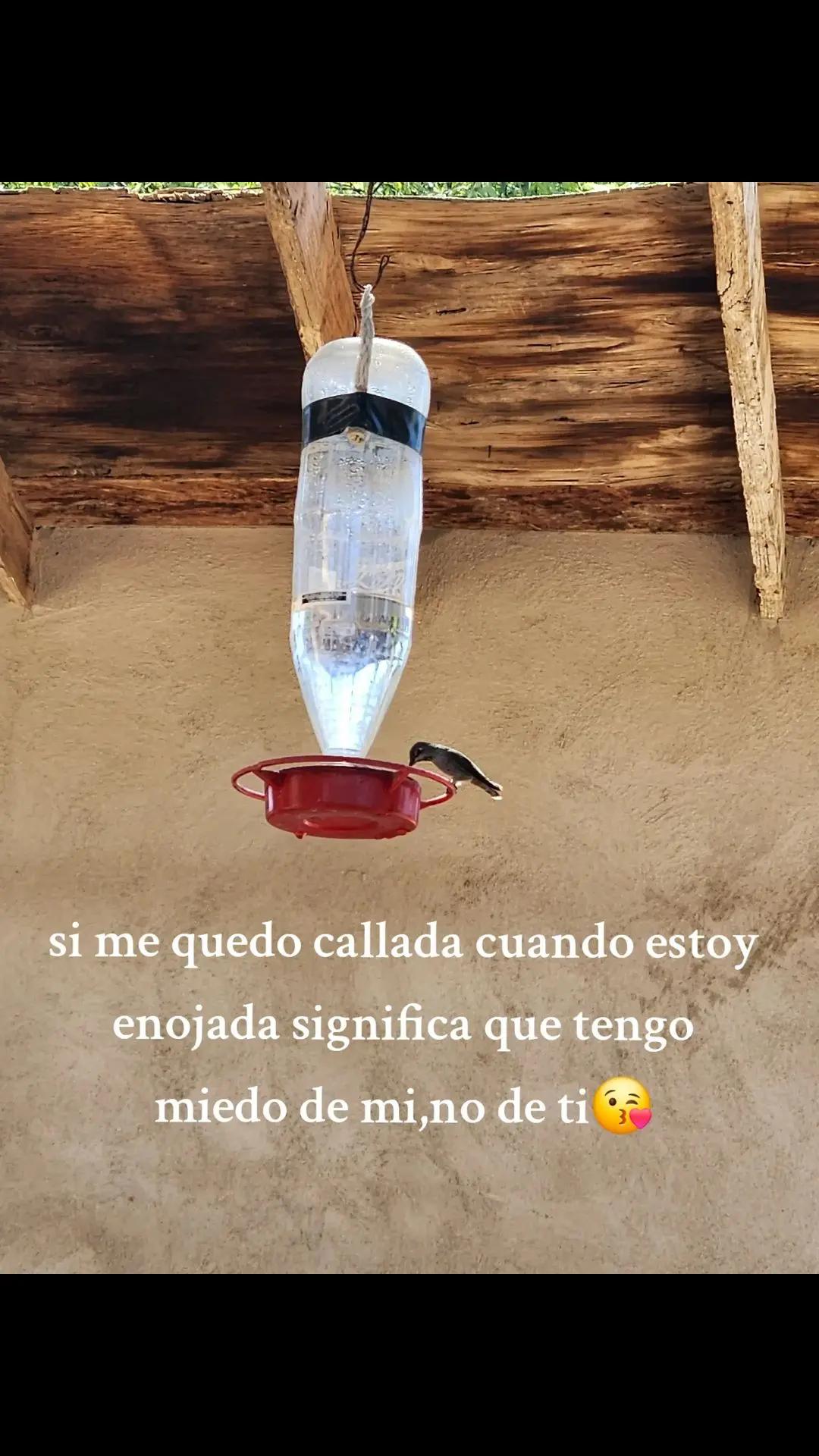 @IraysZamudio