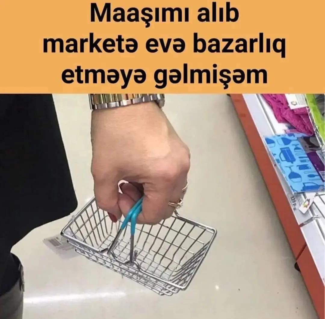 @aydin