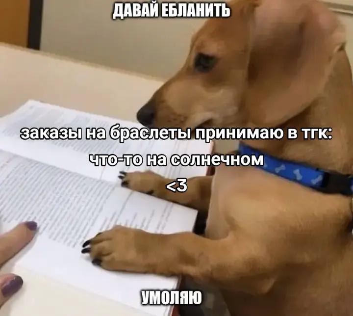 @✶что-то на солнечном