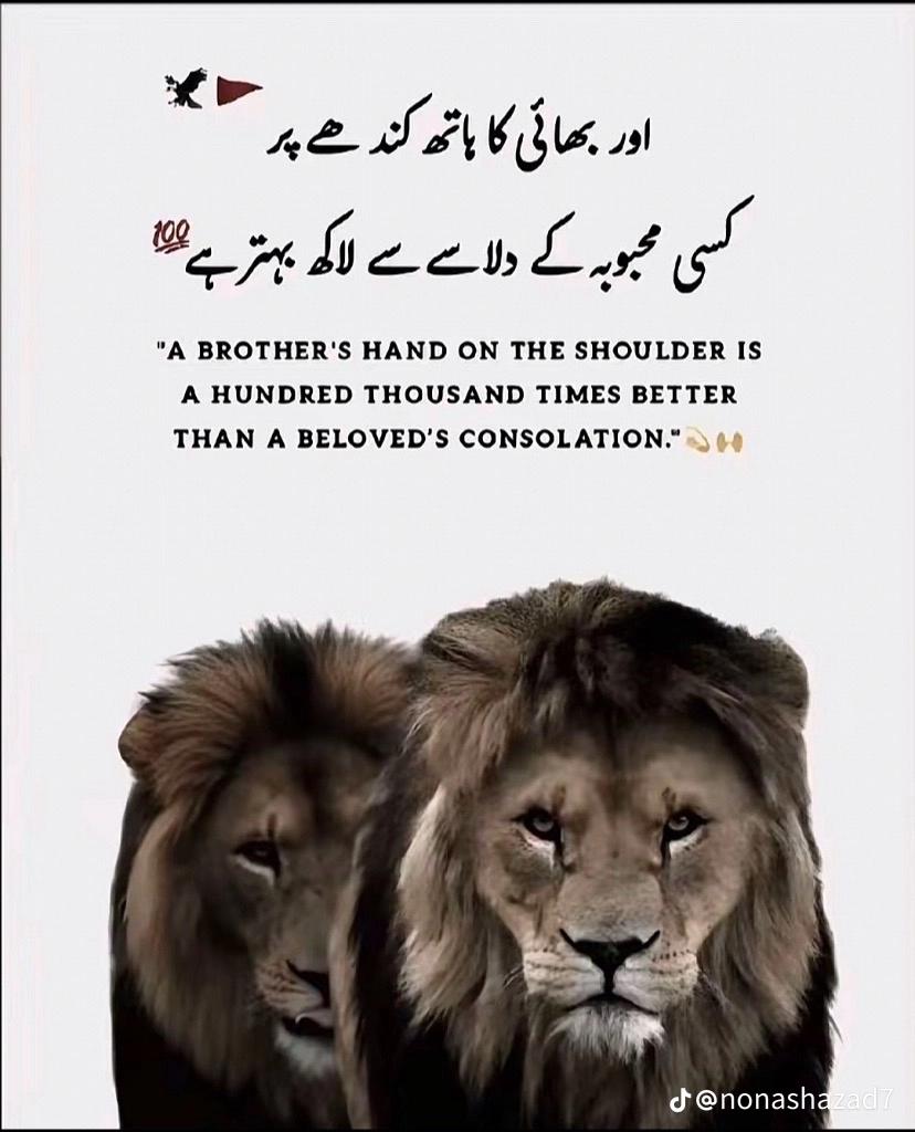 @Ar💲laن_♟️🇸🇦