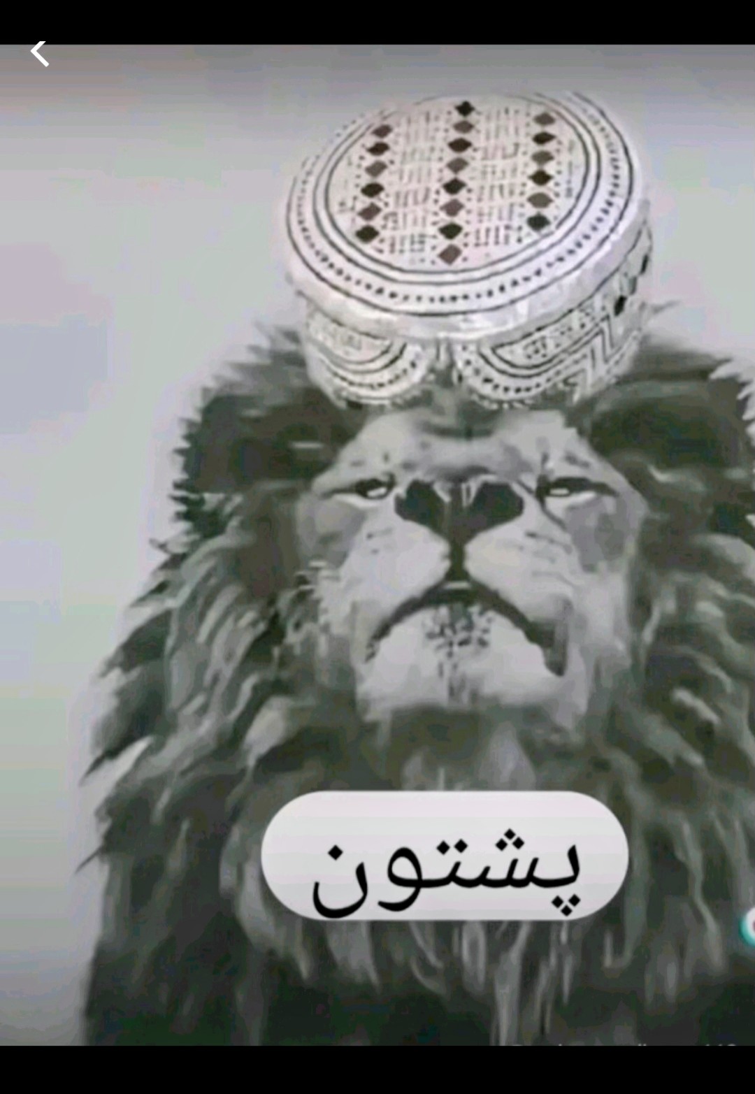 @ریّـــــــسّ🦅کٌوچٍــــــــی🖤