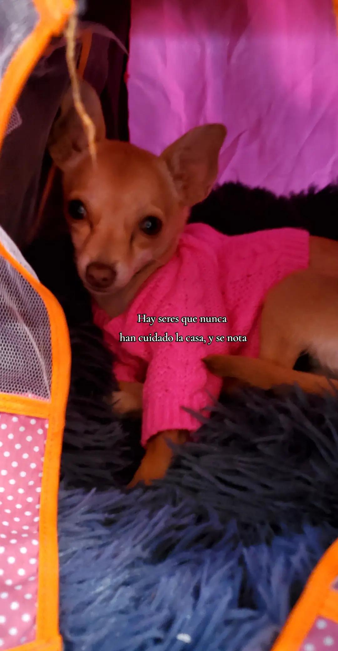 @MR