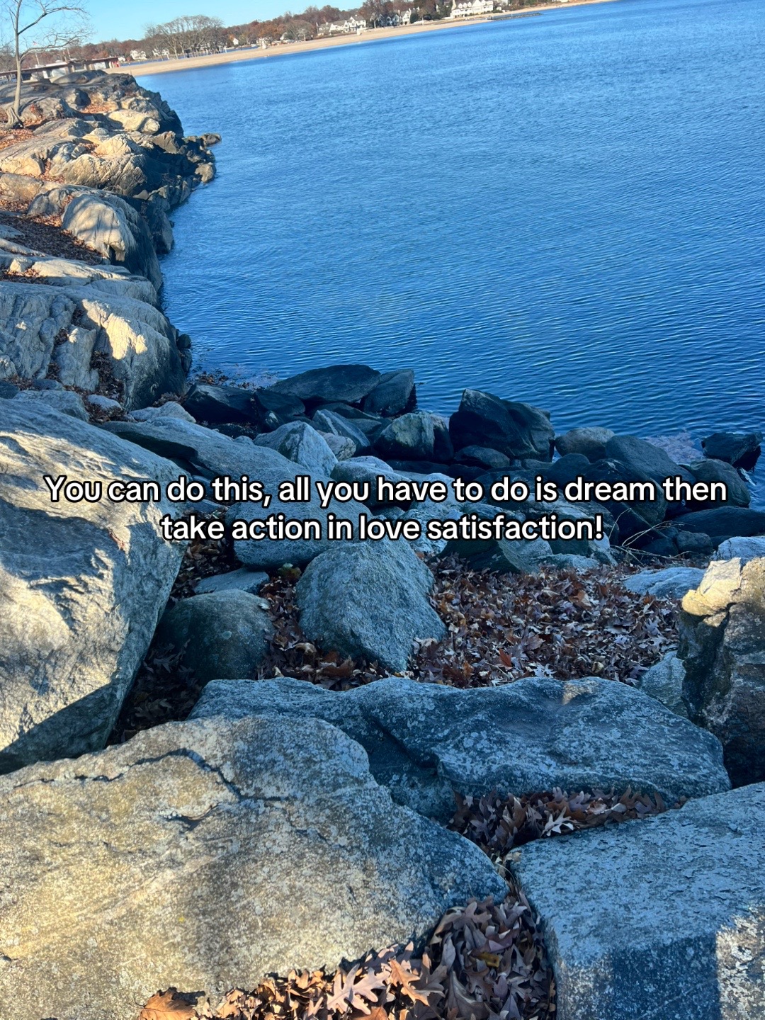 @The Lived Insight Rises