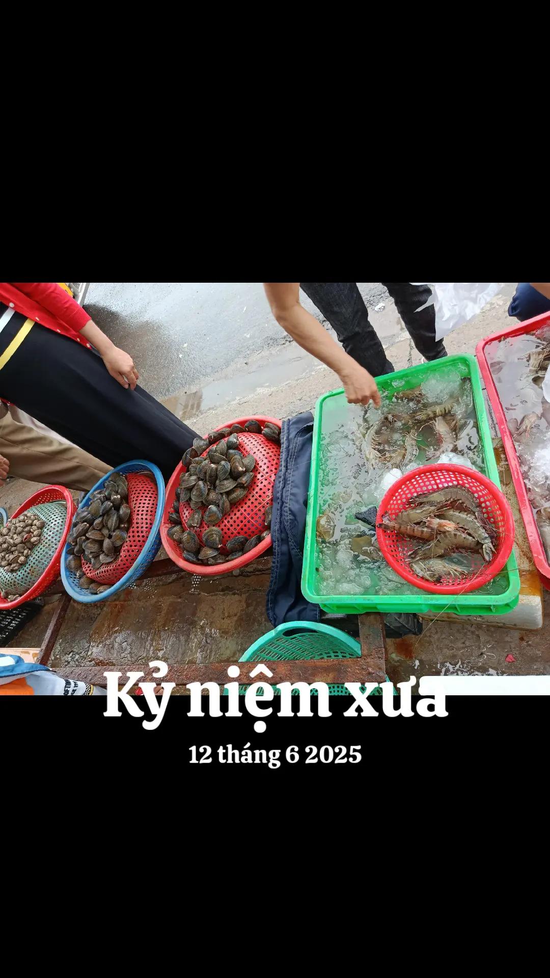 @Nh&agrave; Xe Tấn T&agrave;i An Giang