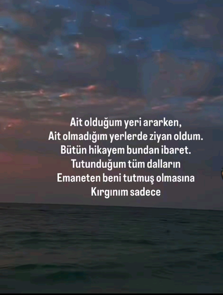 @Dilek Avcı