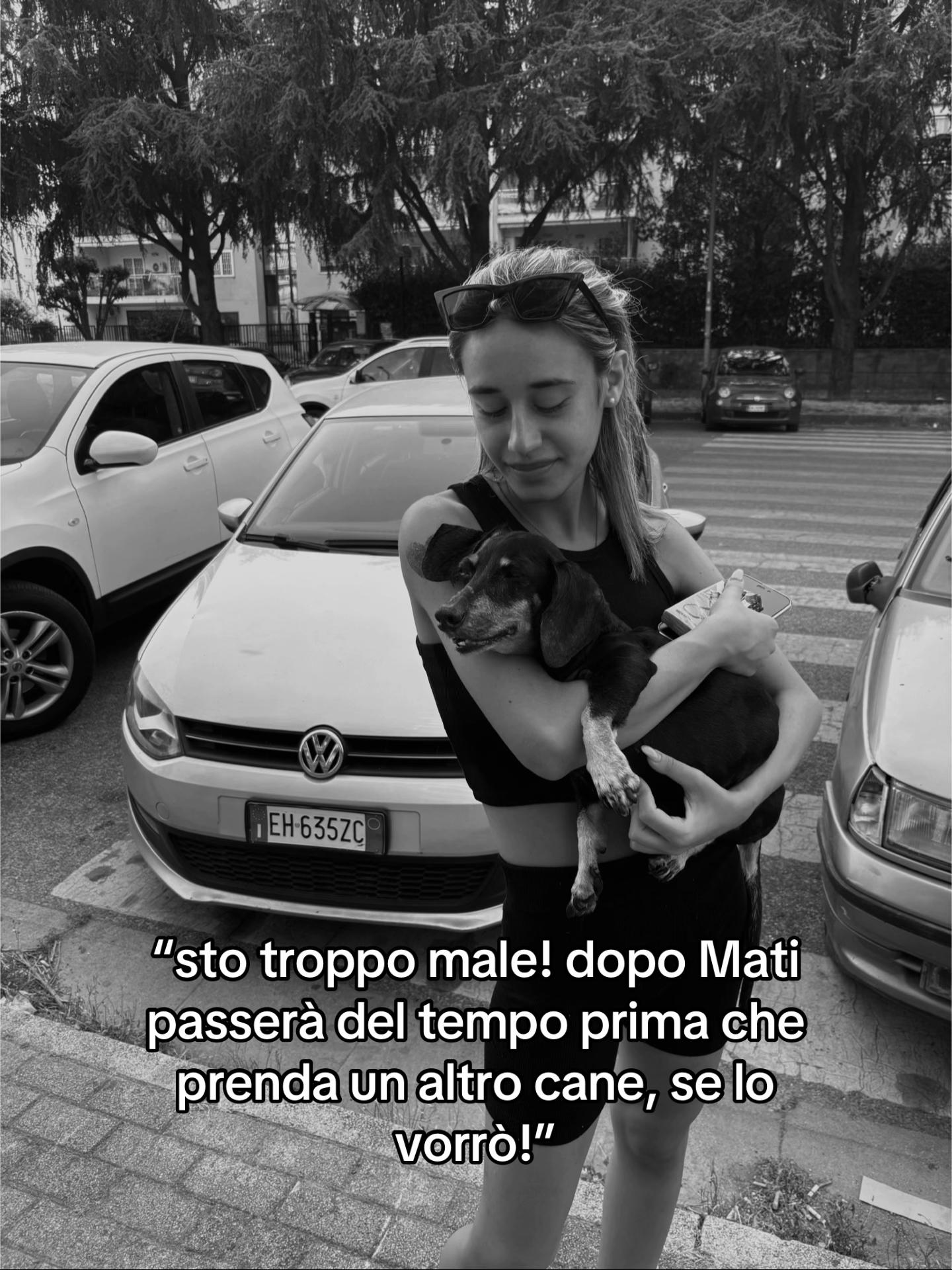 @_ludofica_