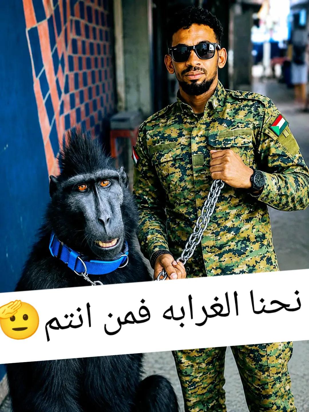 @Awad ๐๐๐๐๐๐