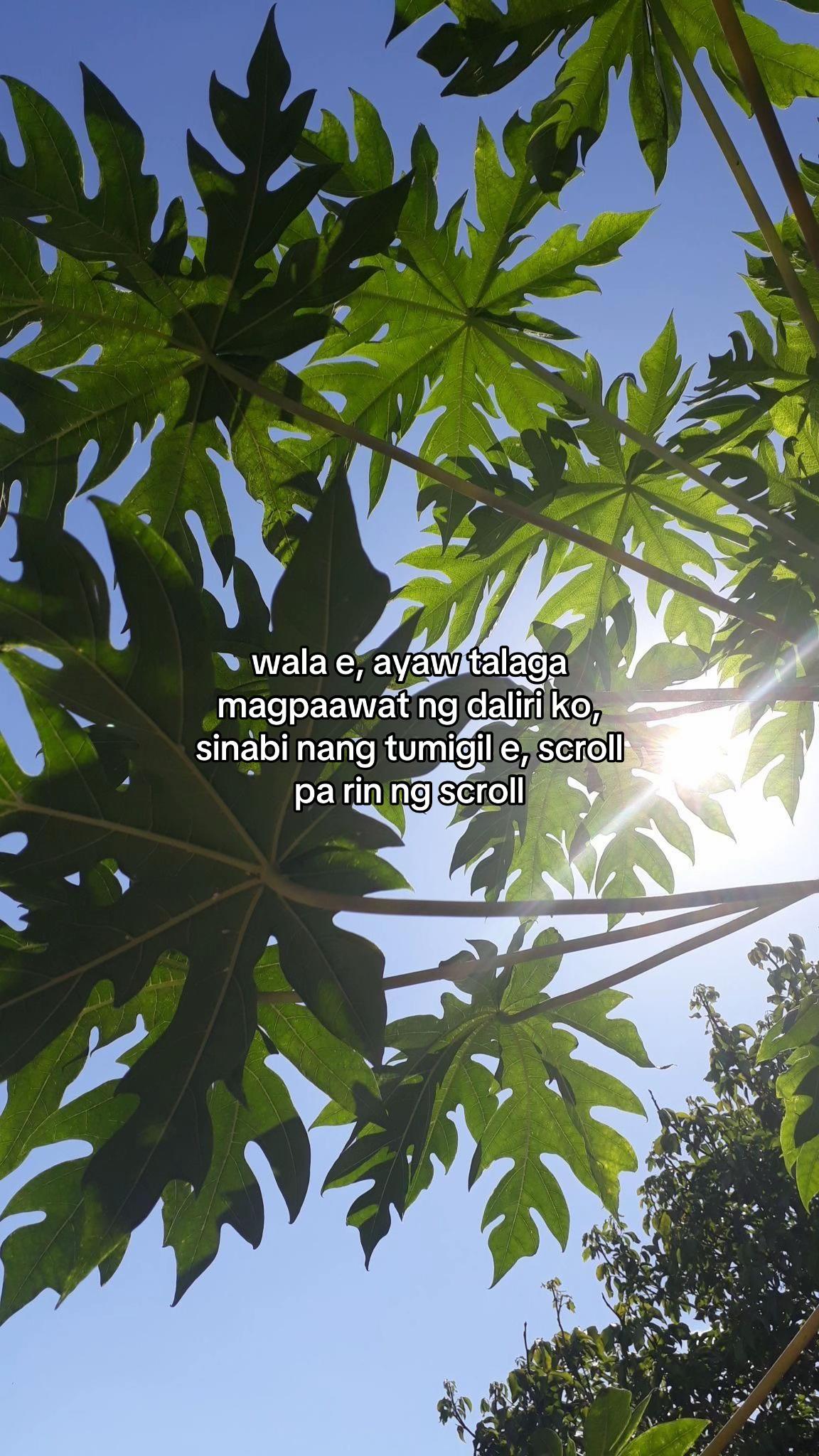 @𝓼𝓱𝓪𝓲𝓮۶ৎ