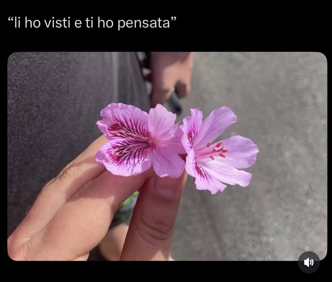 @Dave Fernandez