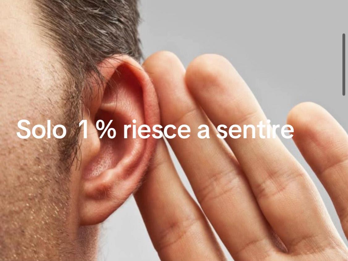 @angelo