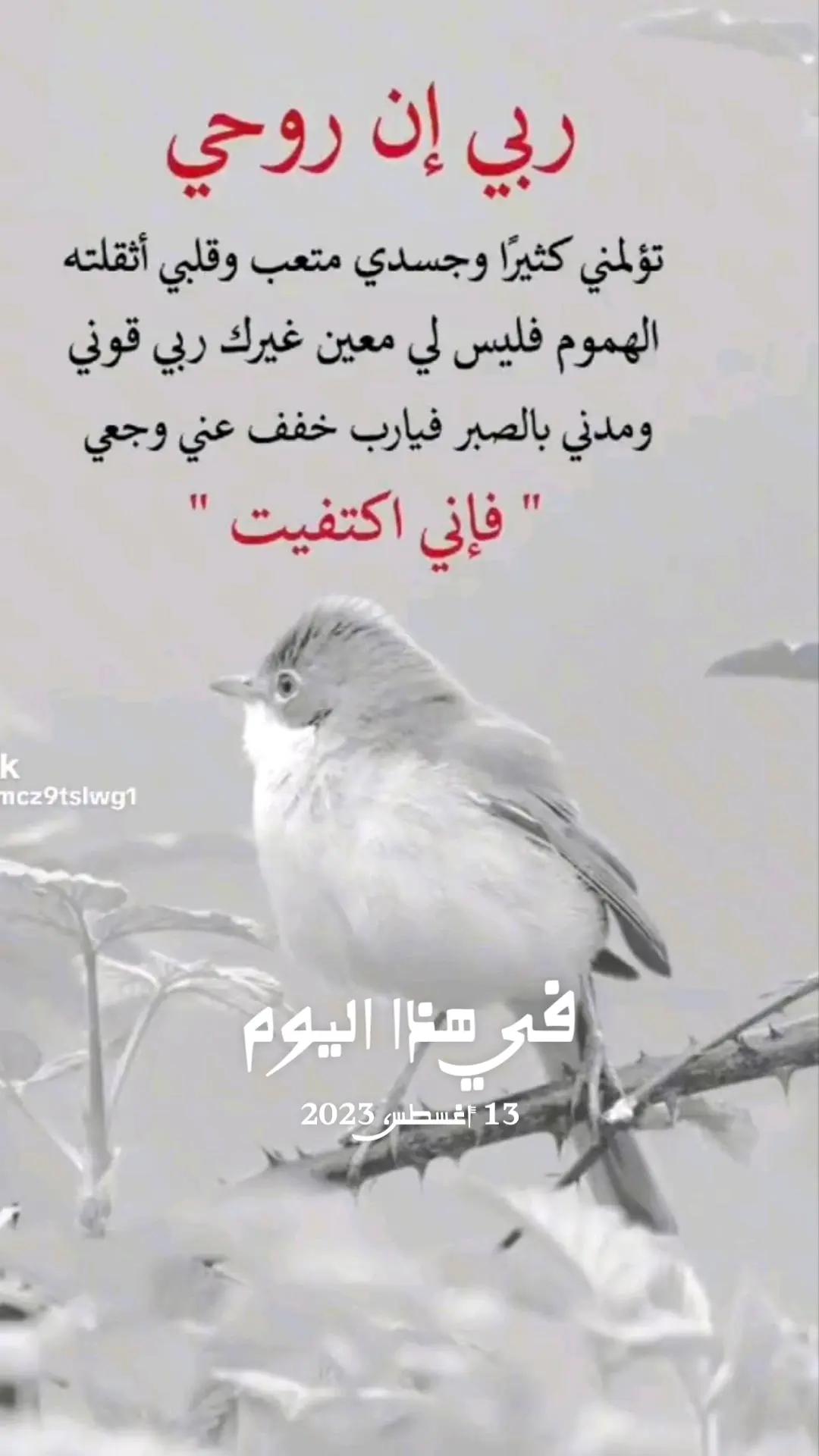 @♿ملكةلنفسي♿بعشق ام ناصر♿MARIA