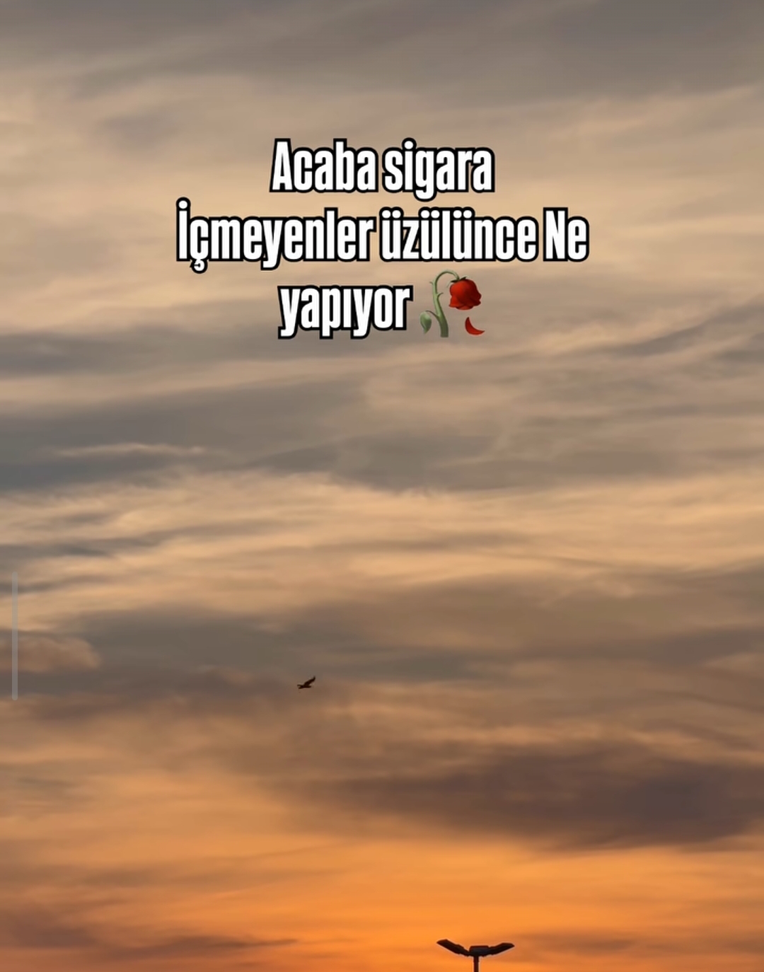 @yalan dünya