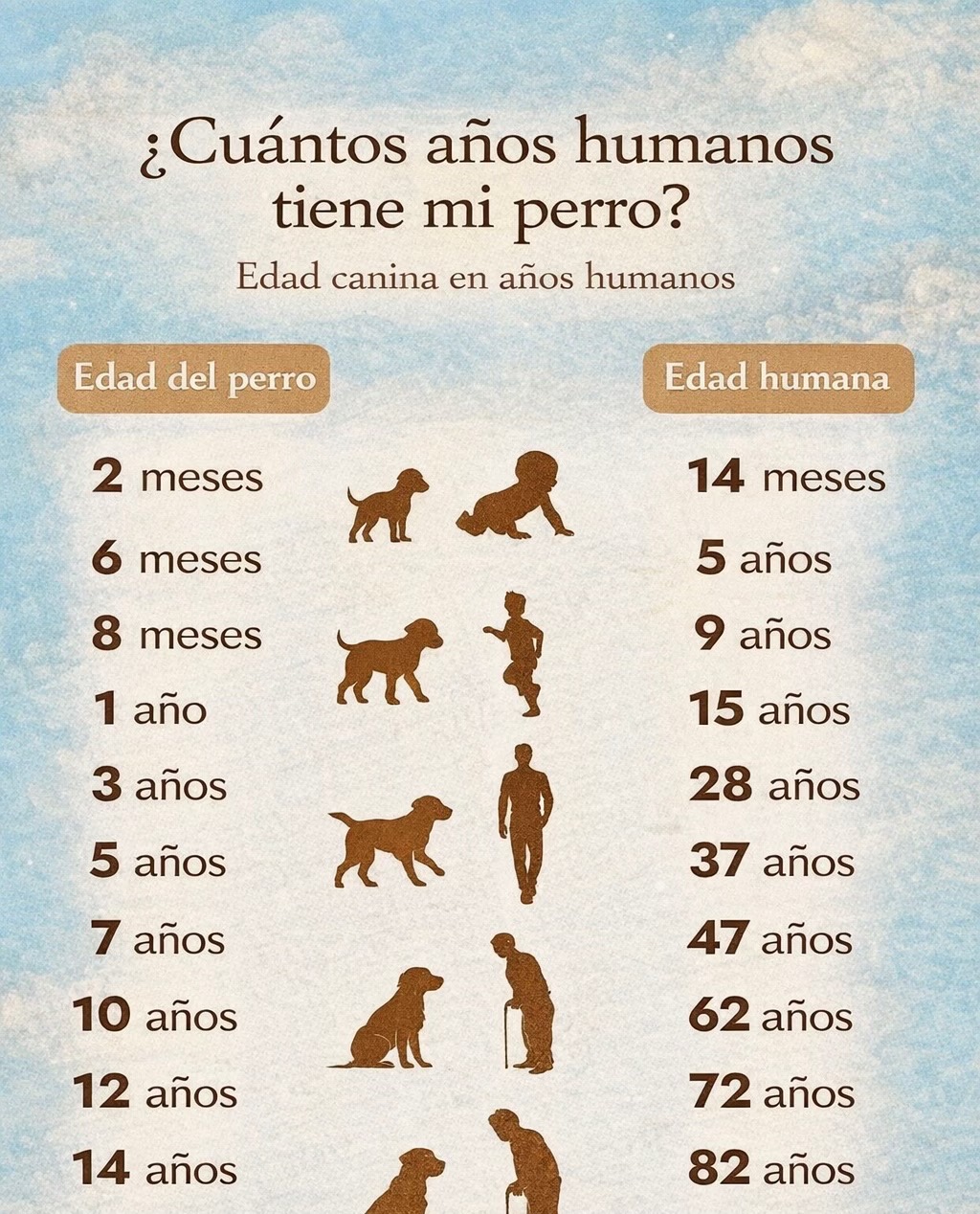 @Todo para tu peludo