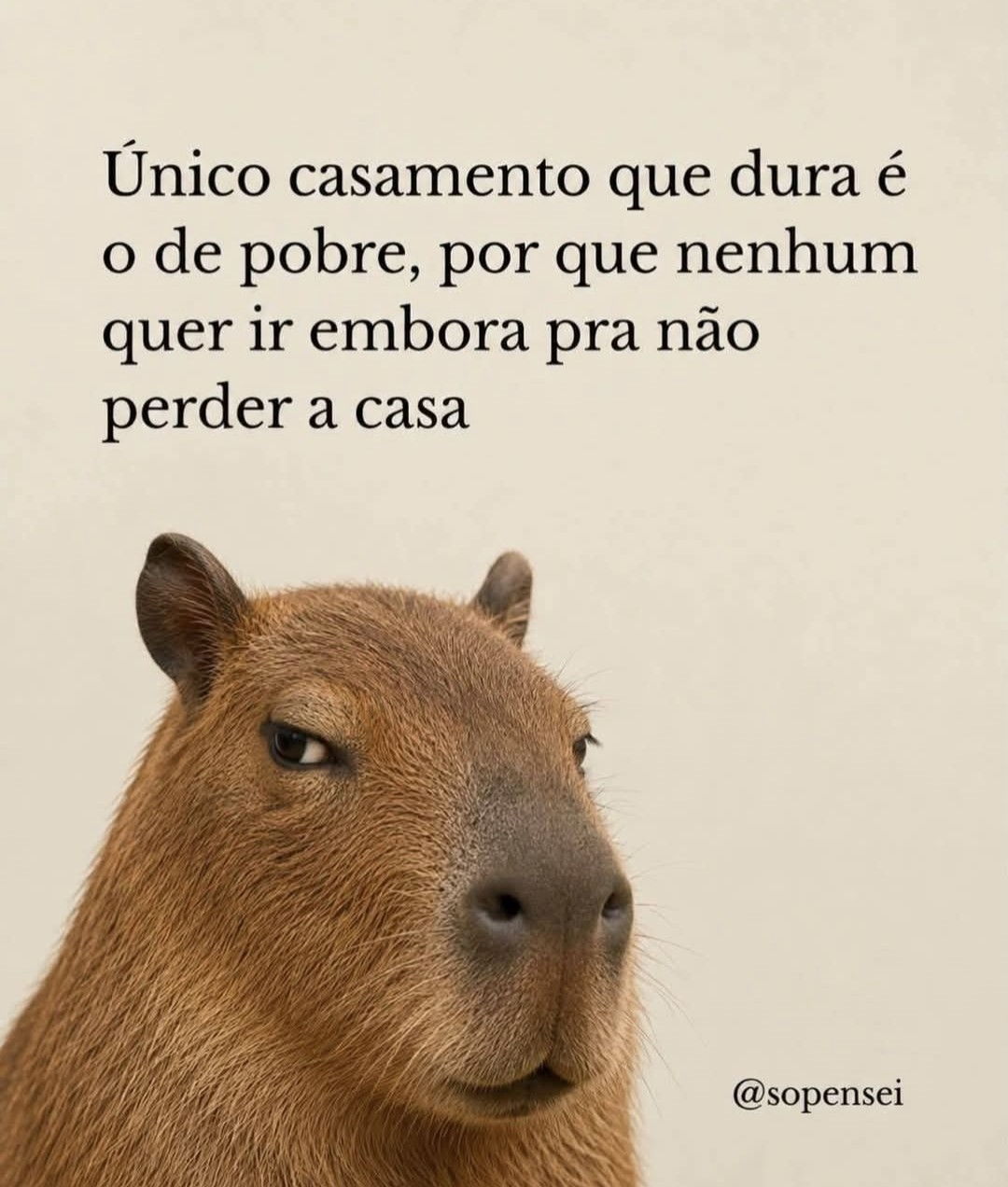 @Flávio Ramos