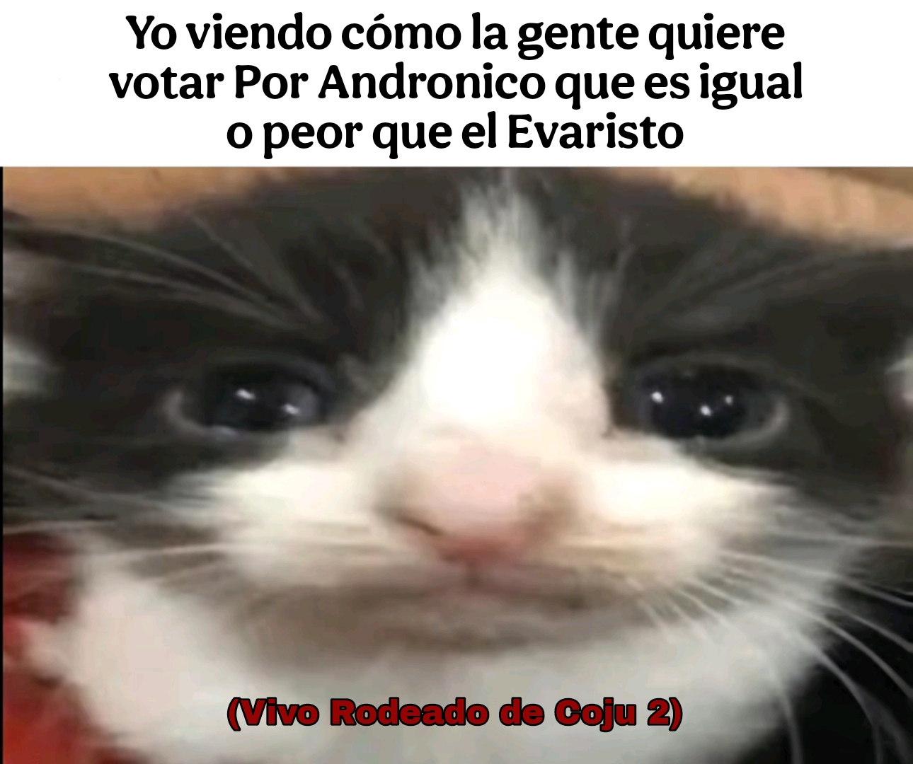 @Xhris___🧐___Lex