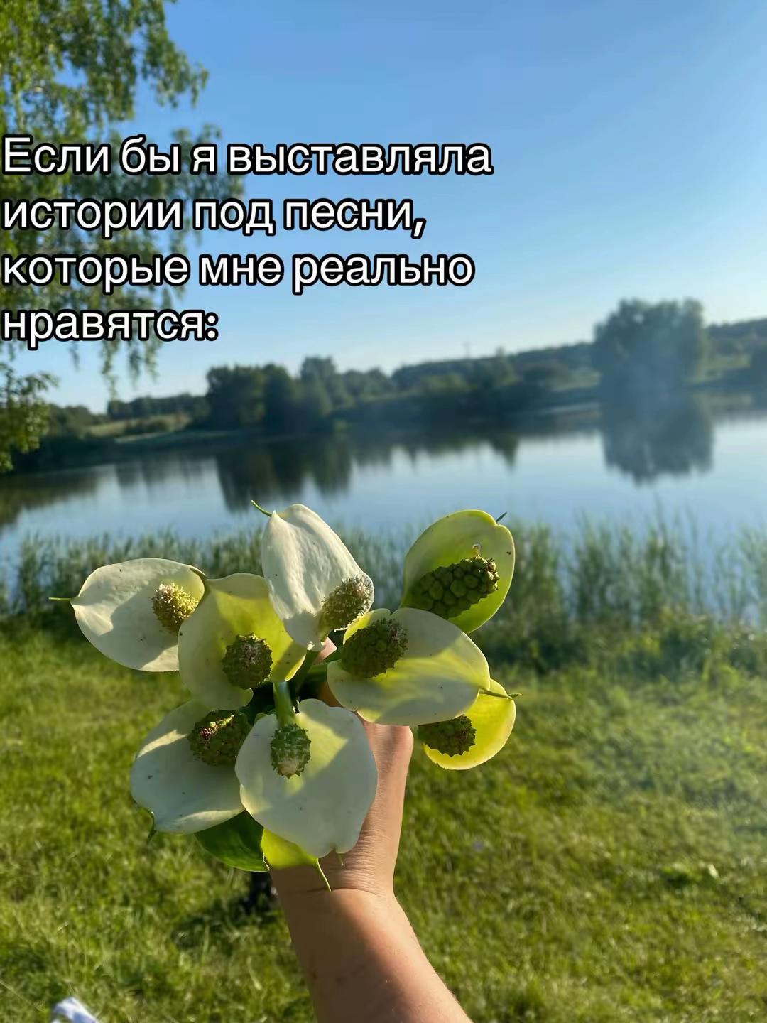 @Evgenia