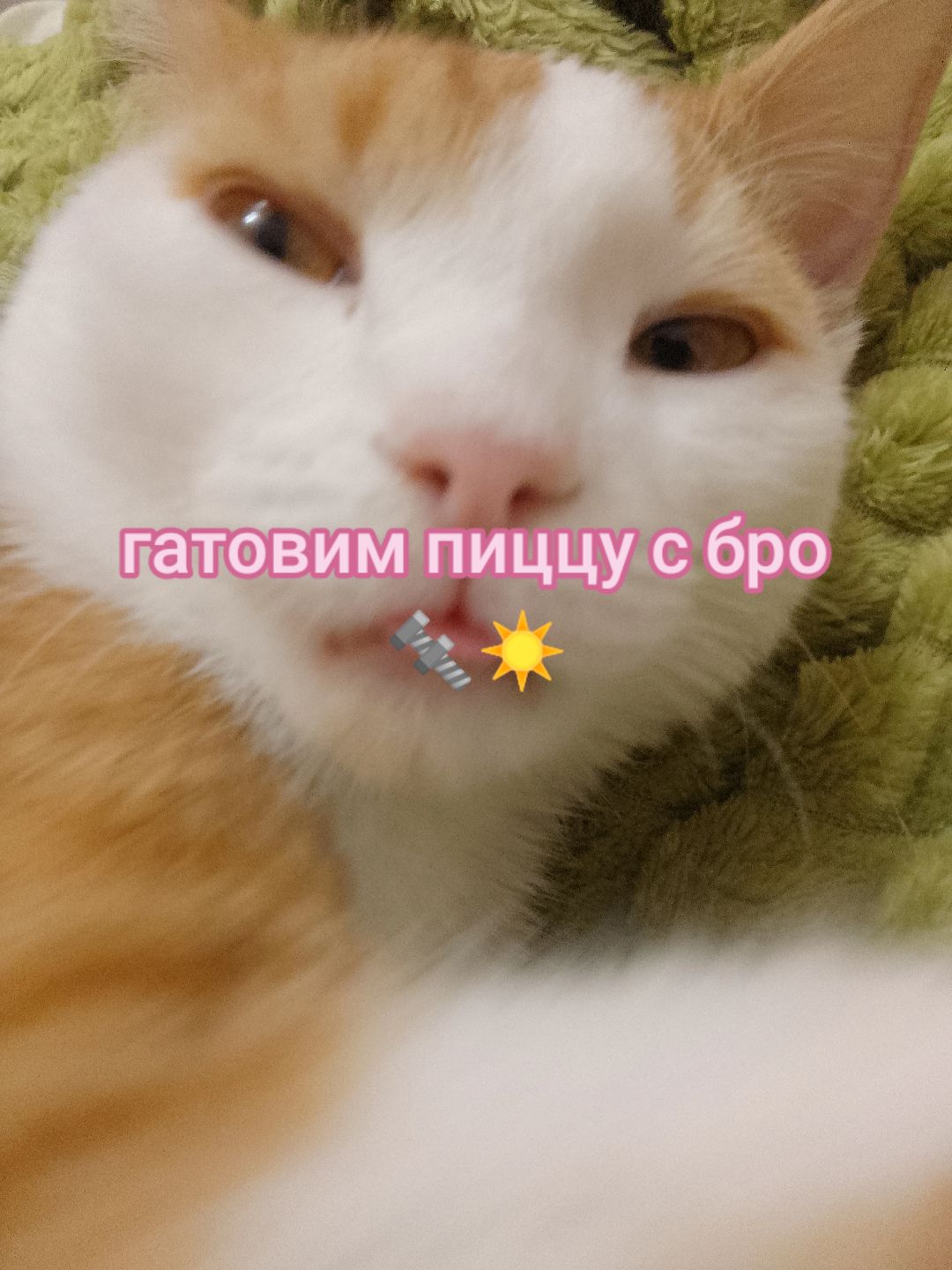 @айя ♱ ♰ Yas ☀️🍰