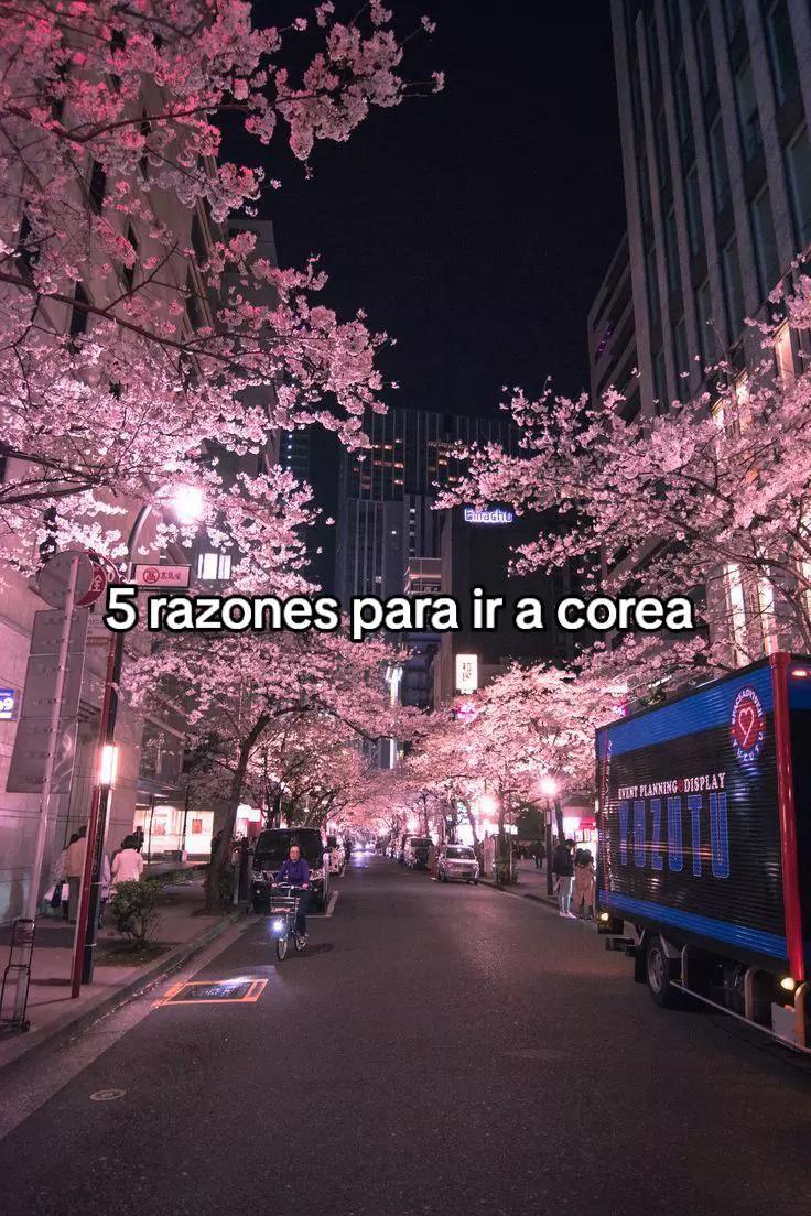 @🕸️★Frii_skz_★🕸️