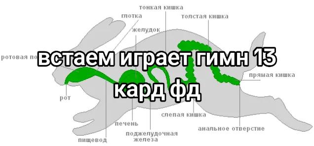 @миланег[💙/💜]🤙