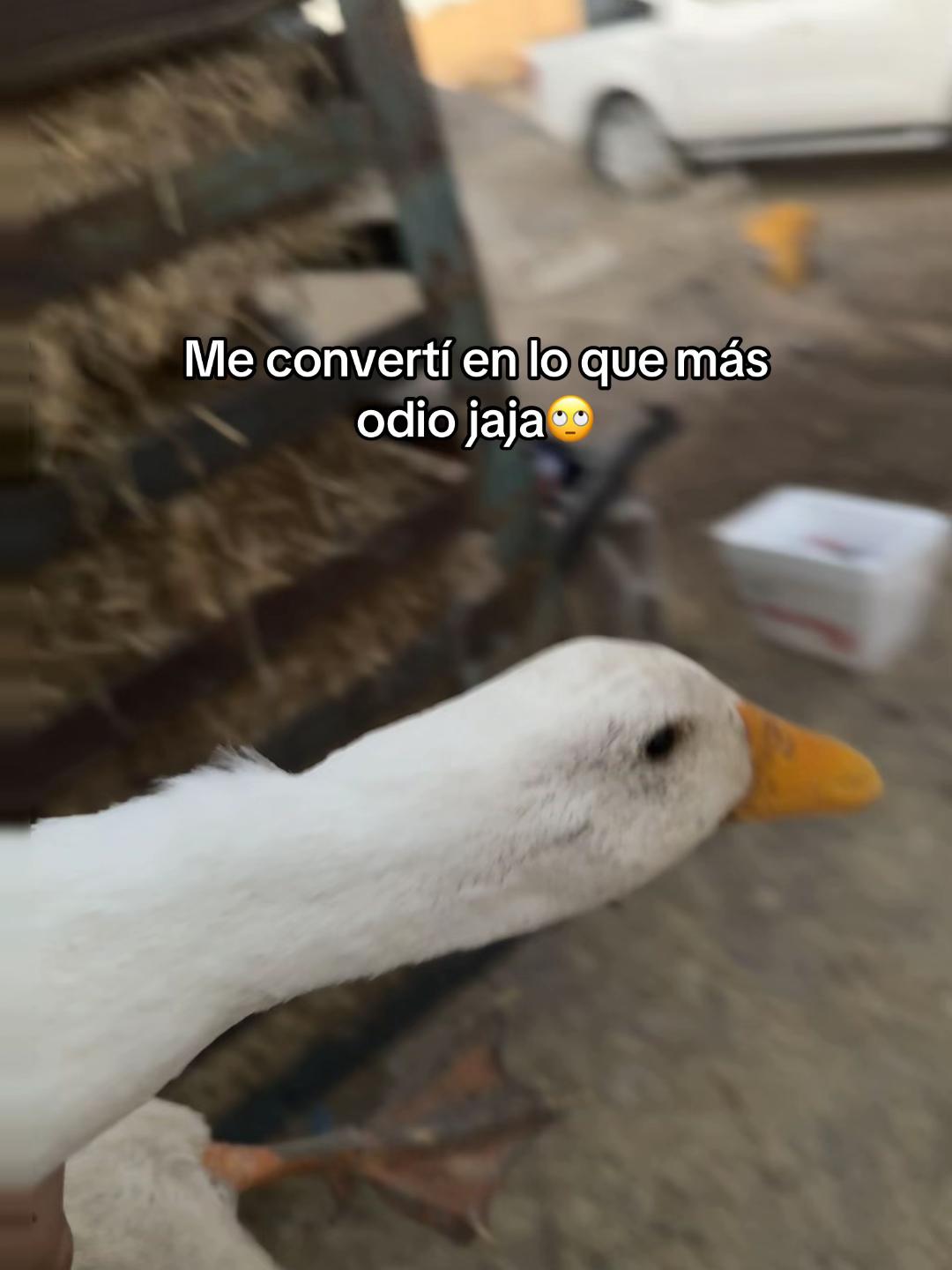 @María Fernanda🎀