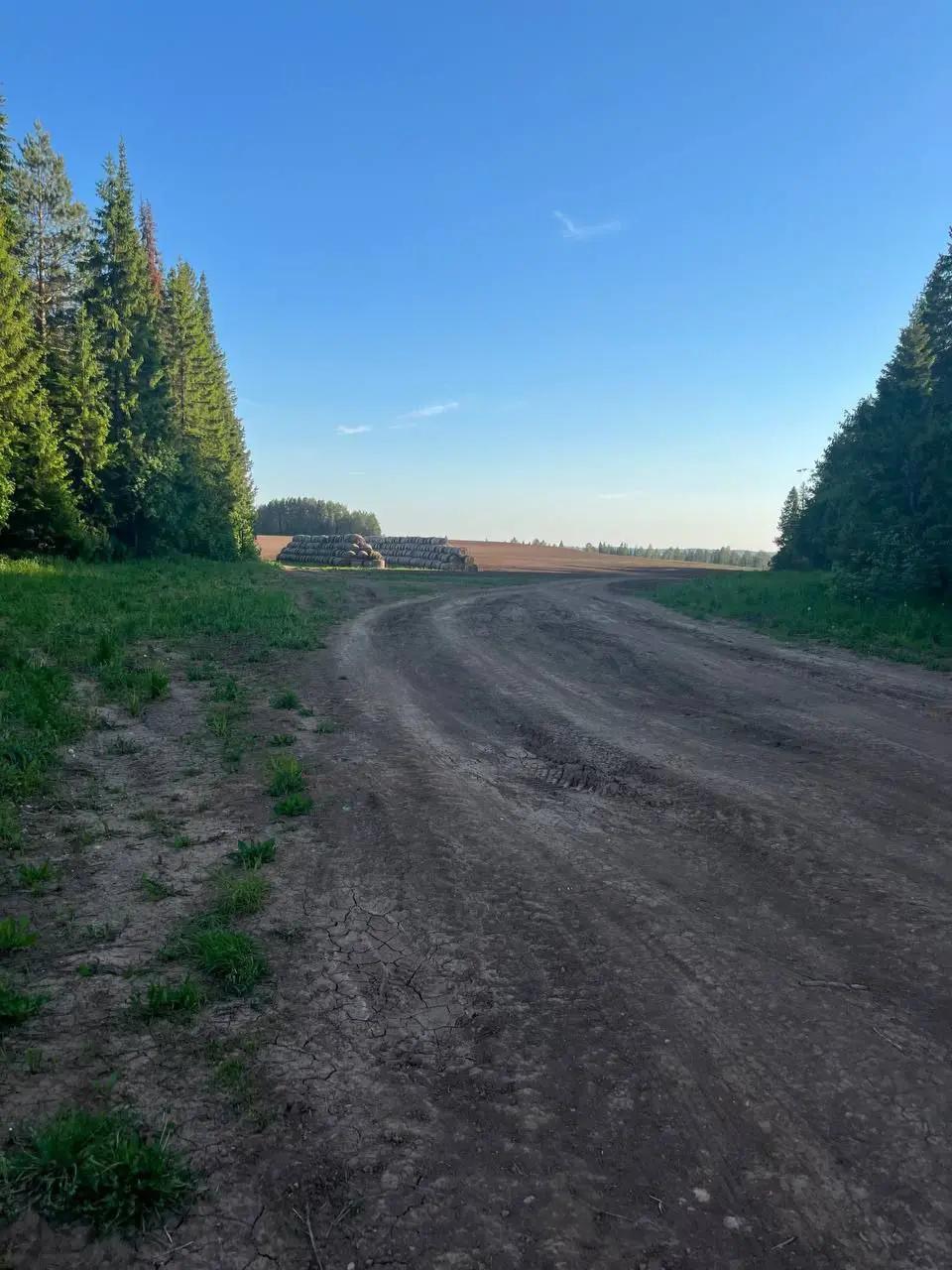 @варя миньон