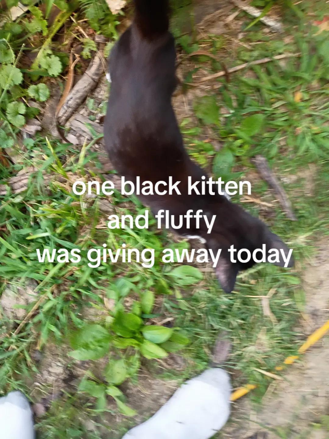 @967truck