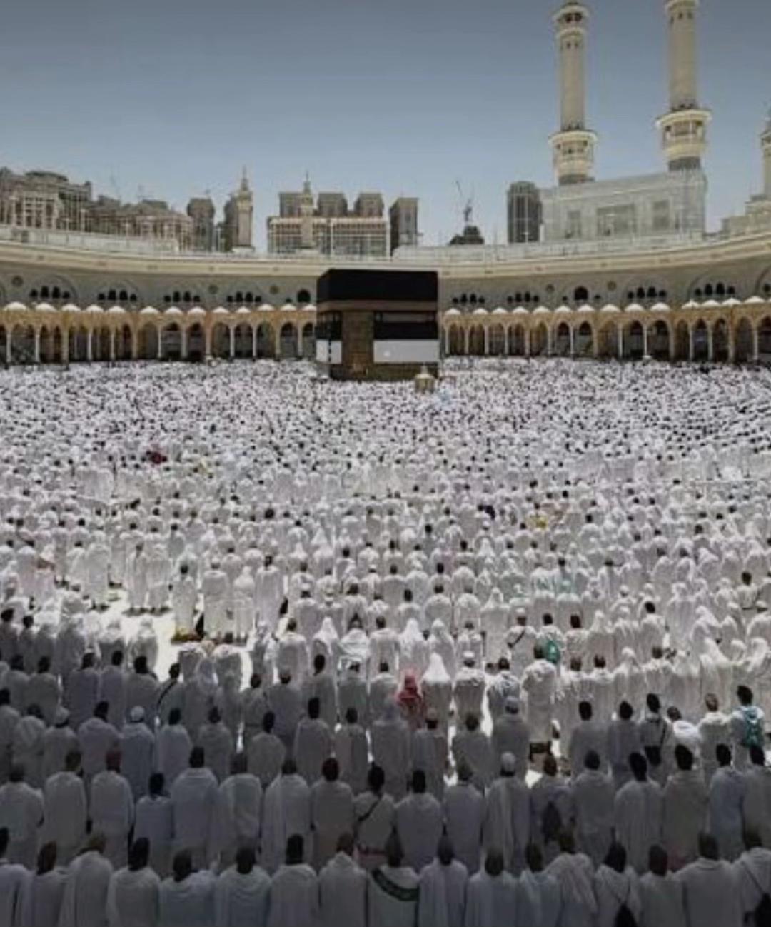 @sheikhhafeezoo775