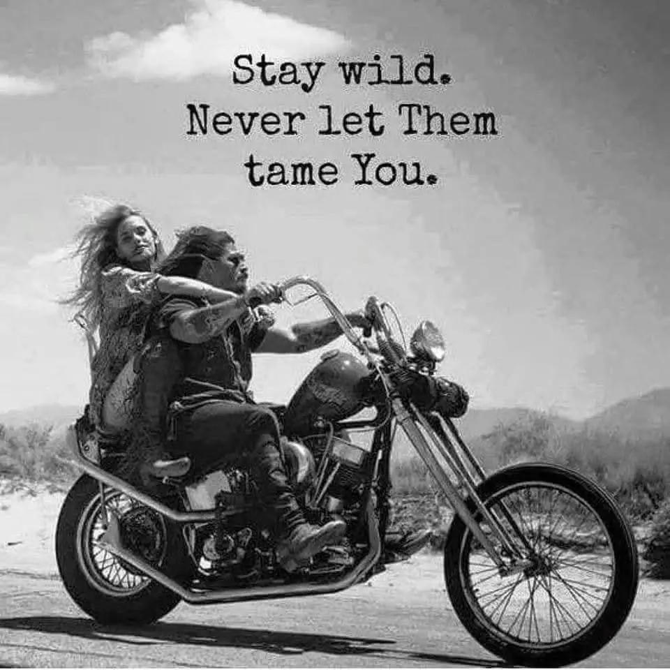 @Life and Motorbikes
