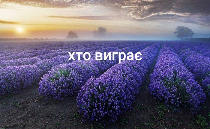 @𝒴𝓀𝓅𝒶𝒾̈ℋ𝓀𝒶