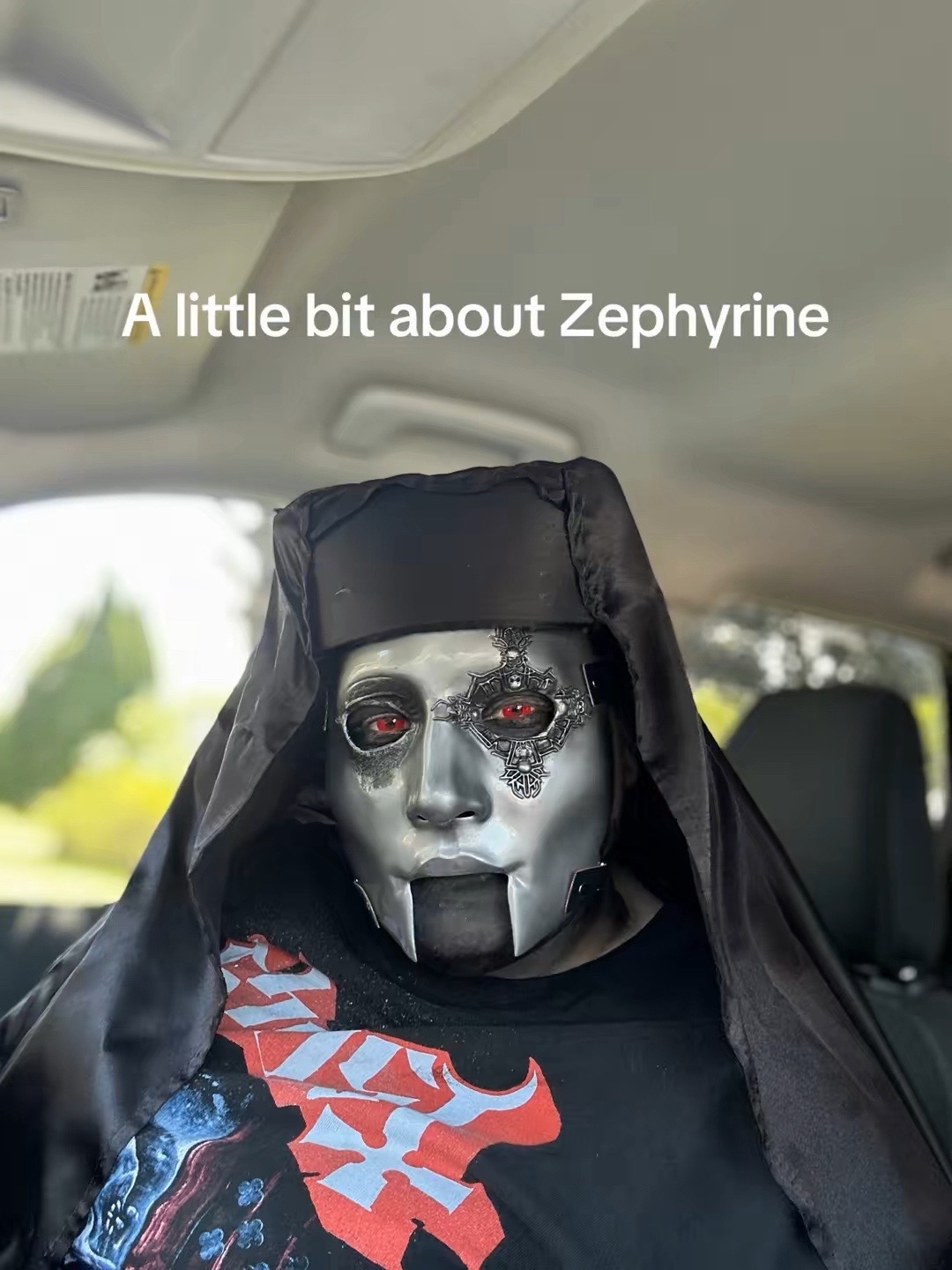 @~Zephyrine~
